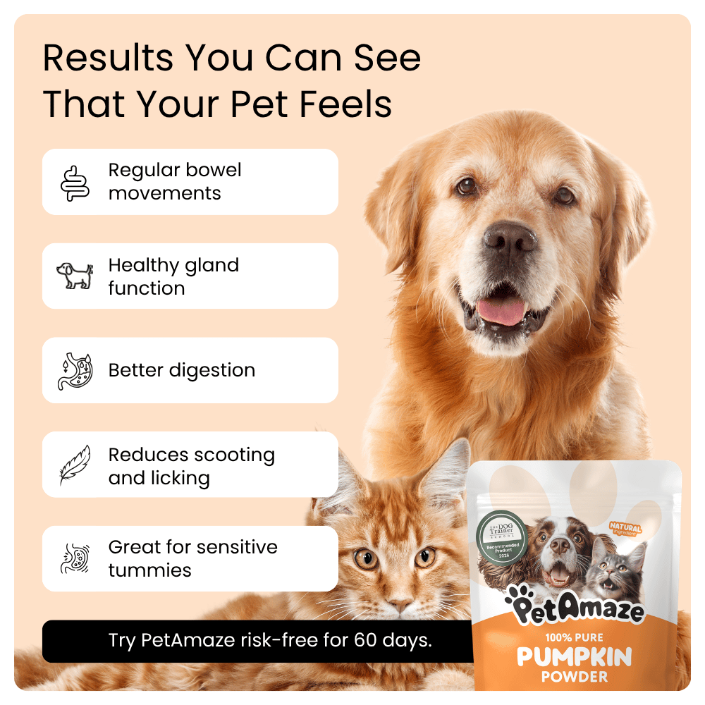 PetAmaze pumpkin powder product benefits