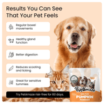 PetAmaze pumpkin powder product benefits