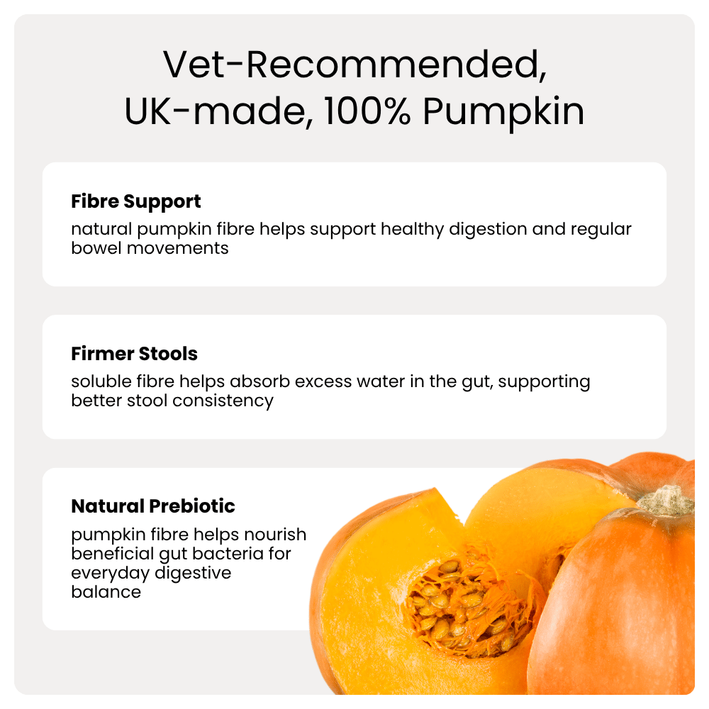 Pumpkin with text about fibre support, firmer stools, and natural prebiotic benefits on a white background.