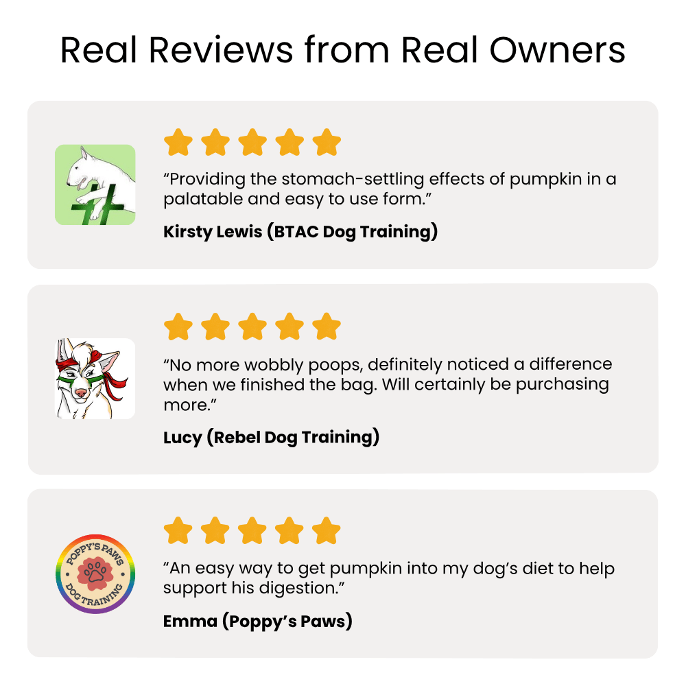 Reviews from real owners about a product for dogs, with star ratings and quotes.