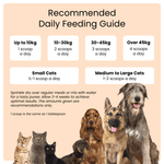 Feeding guide for dogs and cats with images of various breeds on a peach background