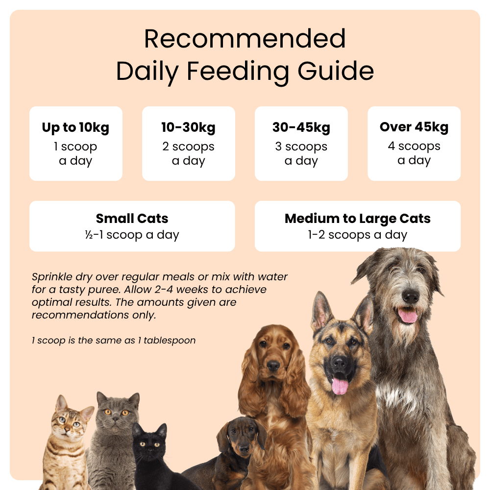 Feeding guide for dogs and cats with images of various breeds on a peach background