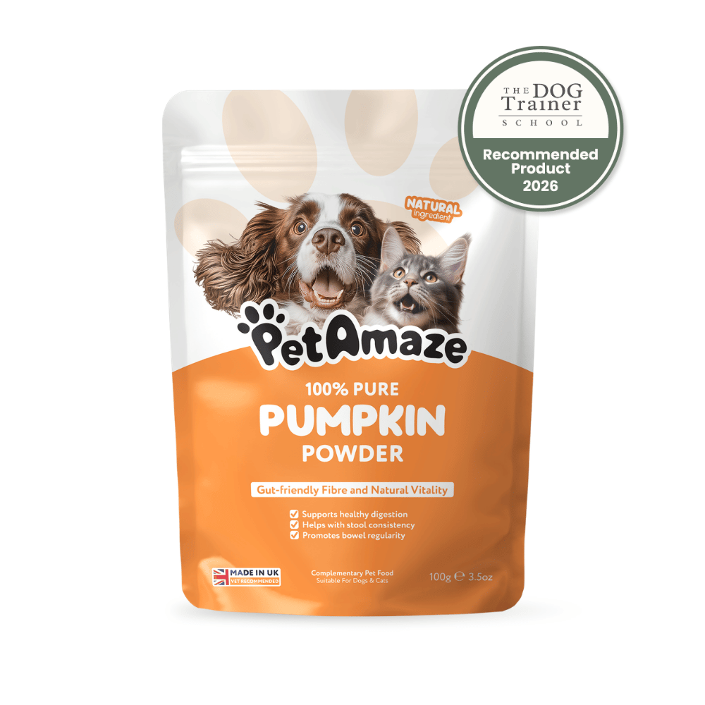 PetAmaze 100 grams pumpkin powder package with a dog and cat on the label, featuring a 'Recommended Product 2026' badge.