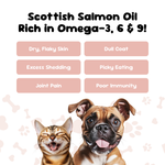 Scottish salmon oil benefits for pets, helps with dry skin, dull coat, excess shedding, picky eating, joint pain and low immunity