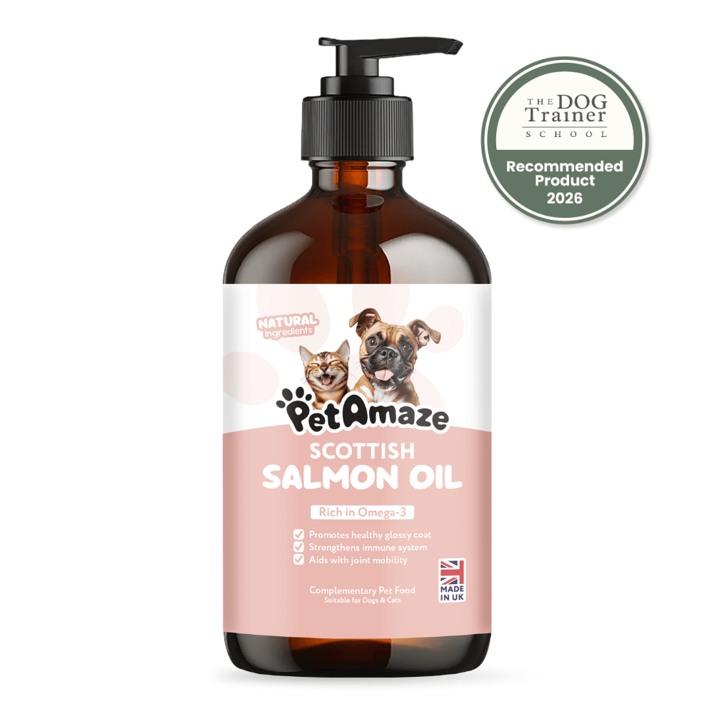 Bottle of PetAmaze Scottish Salmon Oil for pets with a pump on a white background.