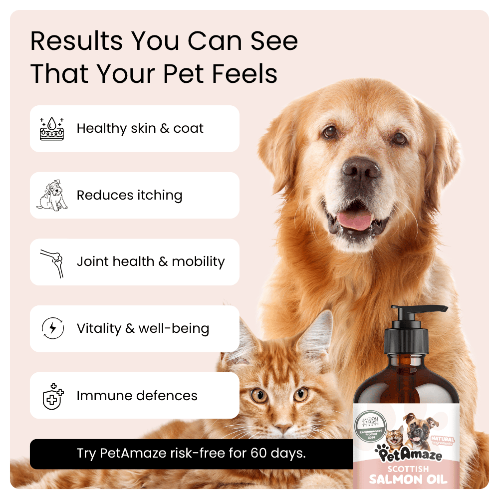 PetAmaze scottish salmon oil benefits