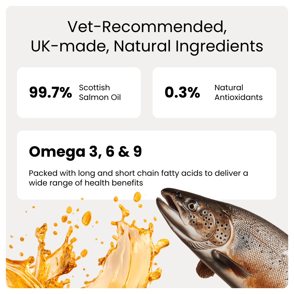 Product label with Scottish Salmon Oil and natural antioxidants on a white background