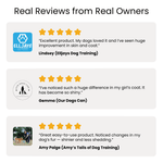 Reviews from real owners praising a product for its effectiveness on dogs' skin and coat.