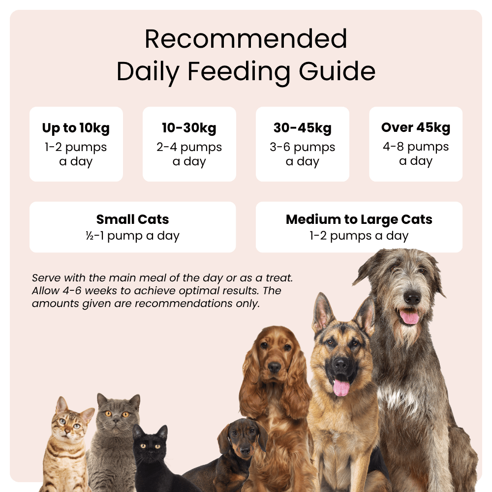 Feeding guide for dogs and cats with images of various pets on a pink background