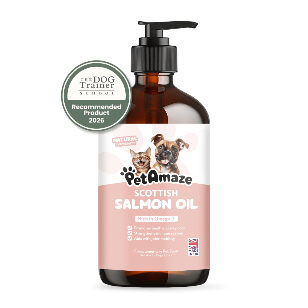 Scottish Salmon Oil - 500ml