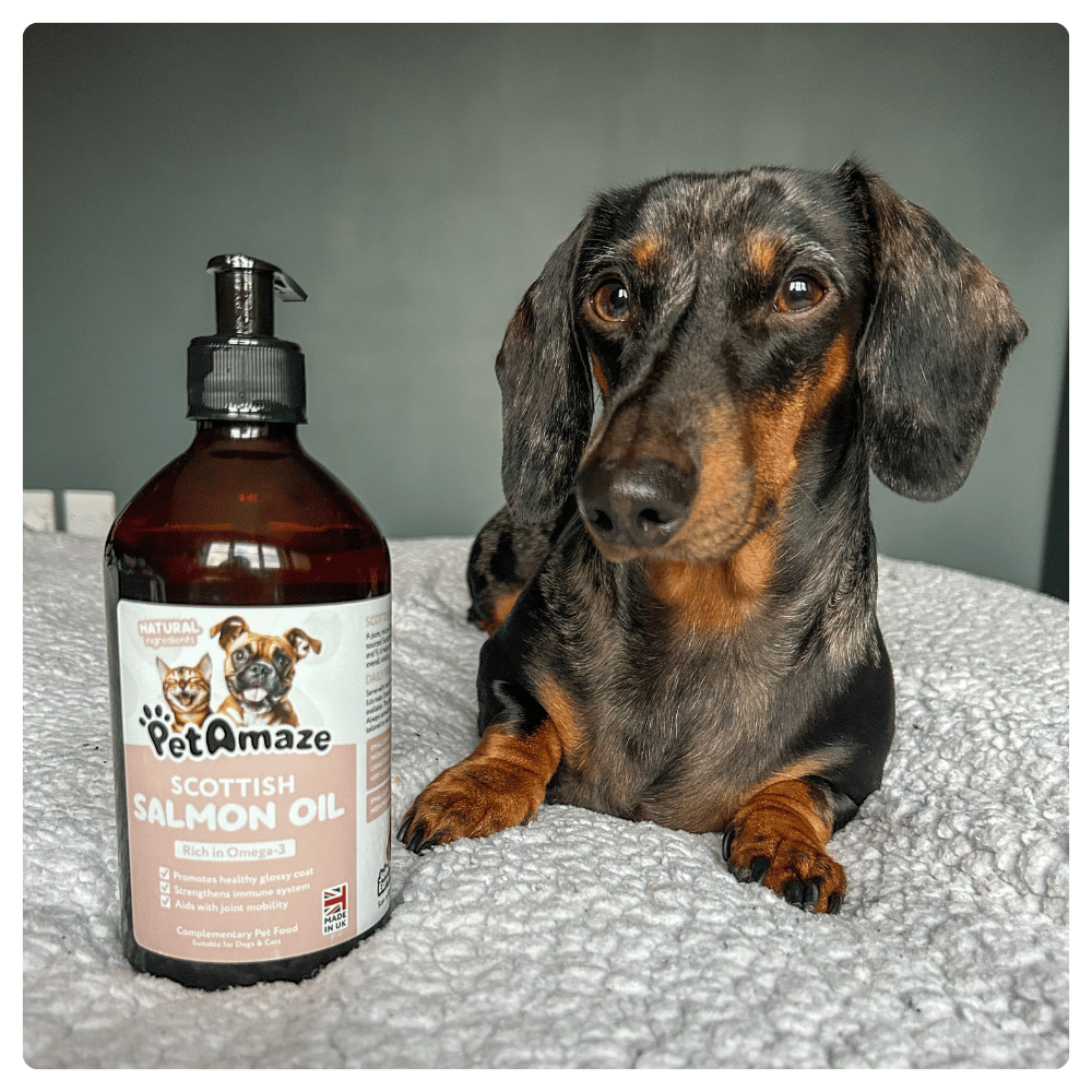 Scottish Salmon Oil - 500ml