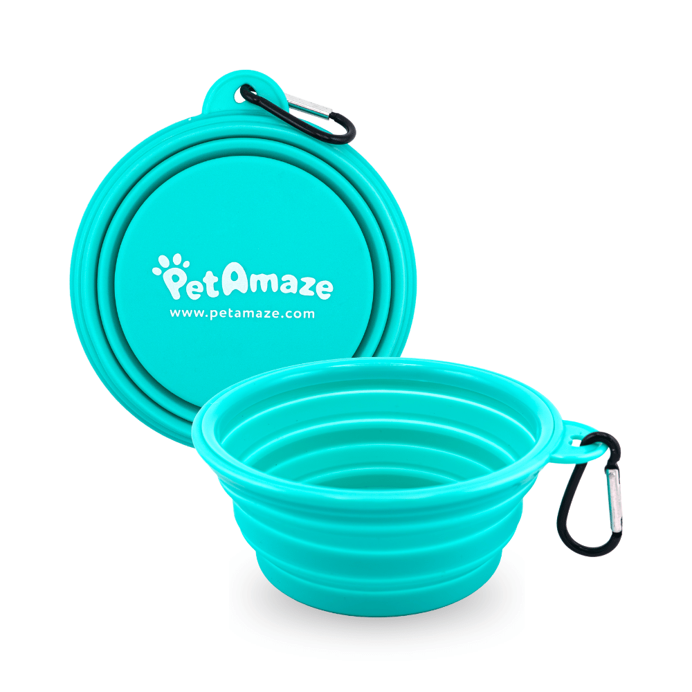Teal silicone pet bowl with lid and carabiner on a white background, featuring PetAmaze branding.