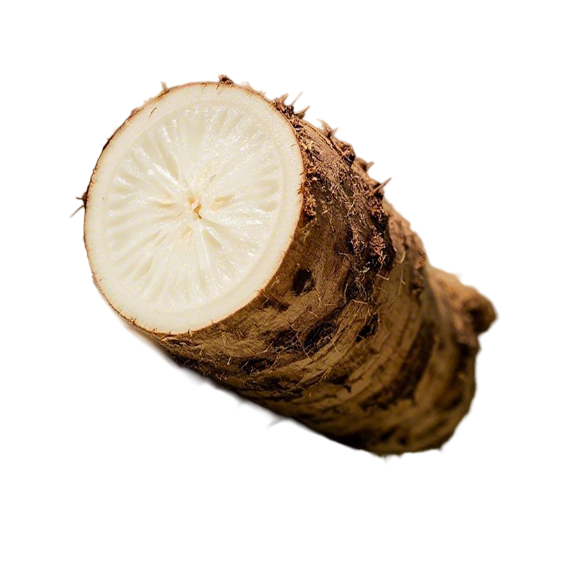 Half-cut yucca root with brown skin and white flesh on a white background